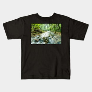 Morning landscape with river and forest Kids T-Shirt